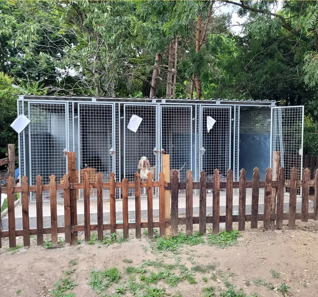 Auxiliary Kennels
