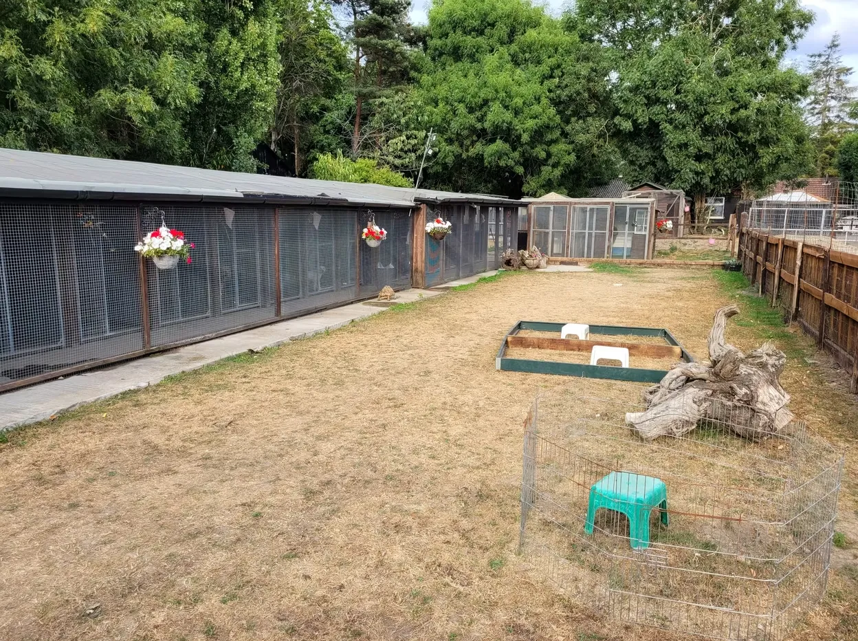 Our beautiful kennels