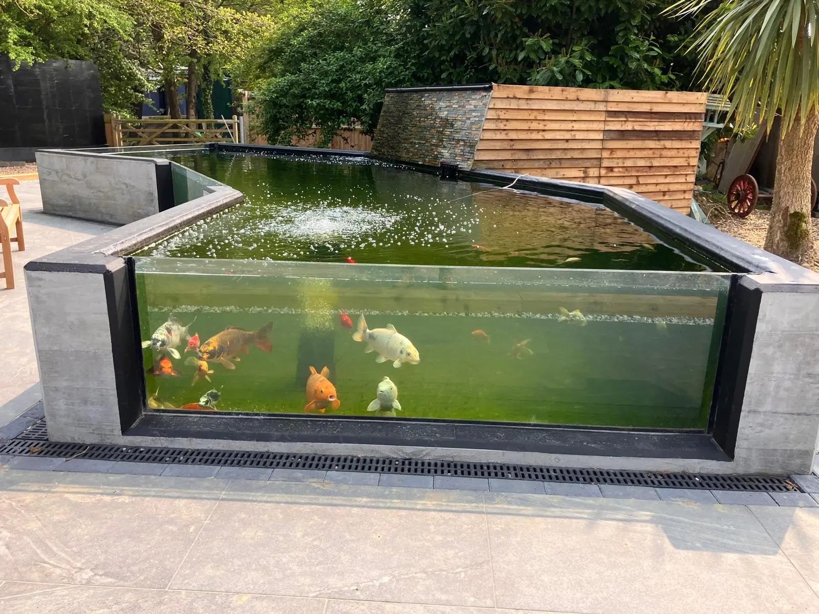 Kerry's Memorial Pond